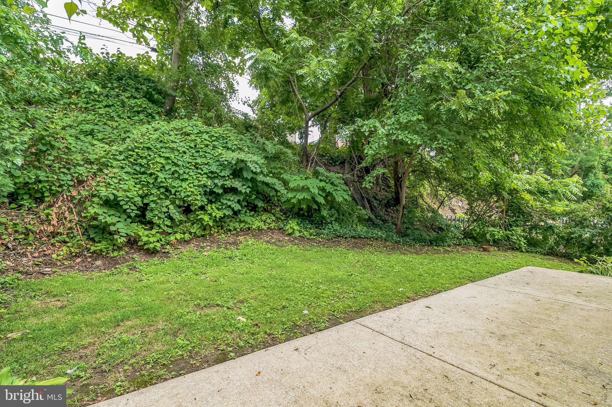 133 Lewis Road Havertown, PA 19083 - Photo 33 of 33 a view of a park with a tree in the background