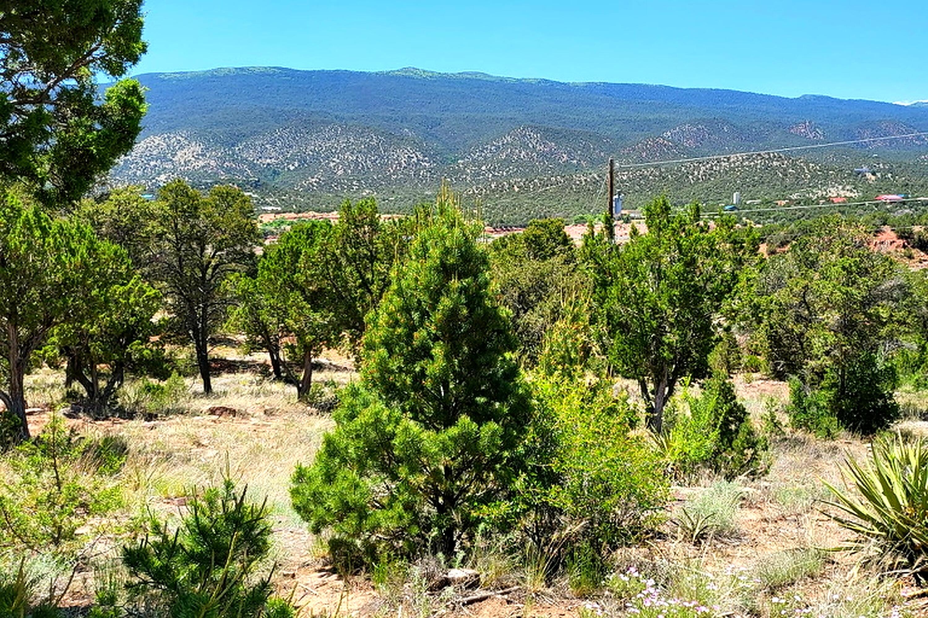 42 Conejo Road Tijeras, NM 87059 - Photo 5 of 14 Gallery Image 5