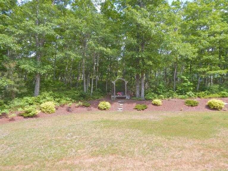 367 Service Road Sandwich, MA 02537 - Photo 14 of 34 a view of a garden with plants and large trees