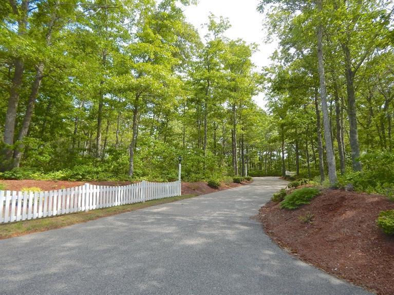 367 Service Road Sandwich, MA 02537 - Photo 7 of 34 a view of a road with a trees