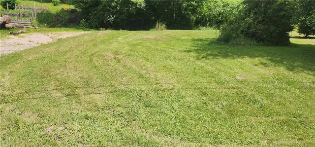 a view of a yard with a trees