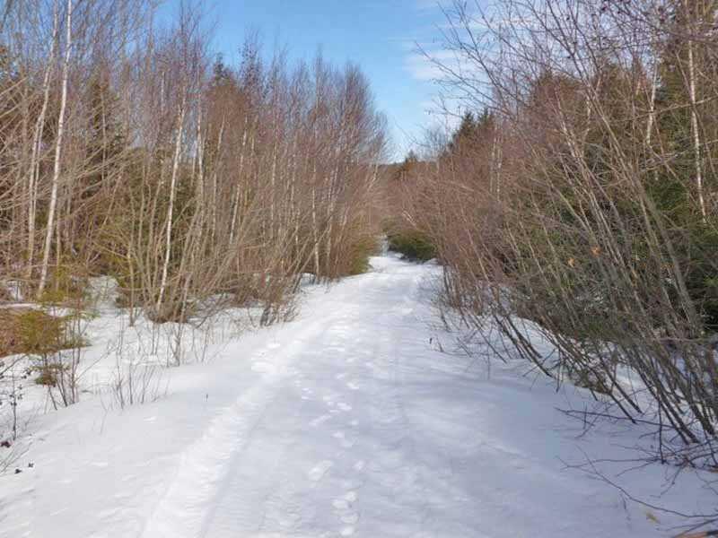 311 West Shore Road Ellsworth, ME 04605 - Photo 13 of 18 Land. Gravel road of additional 2.87...