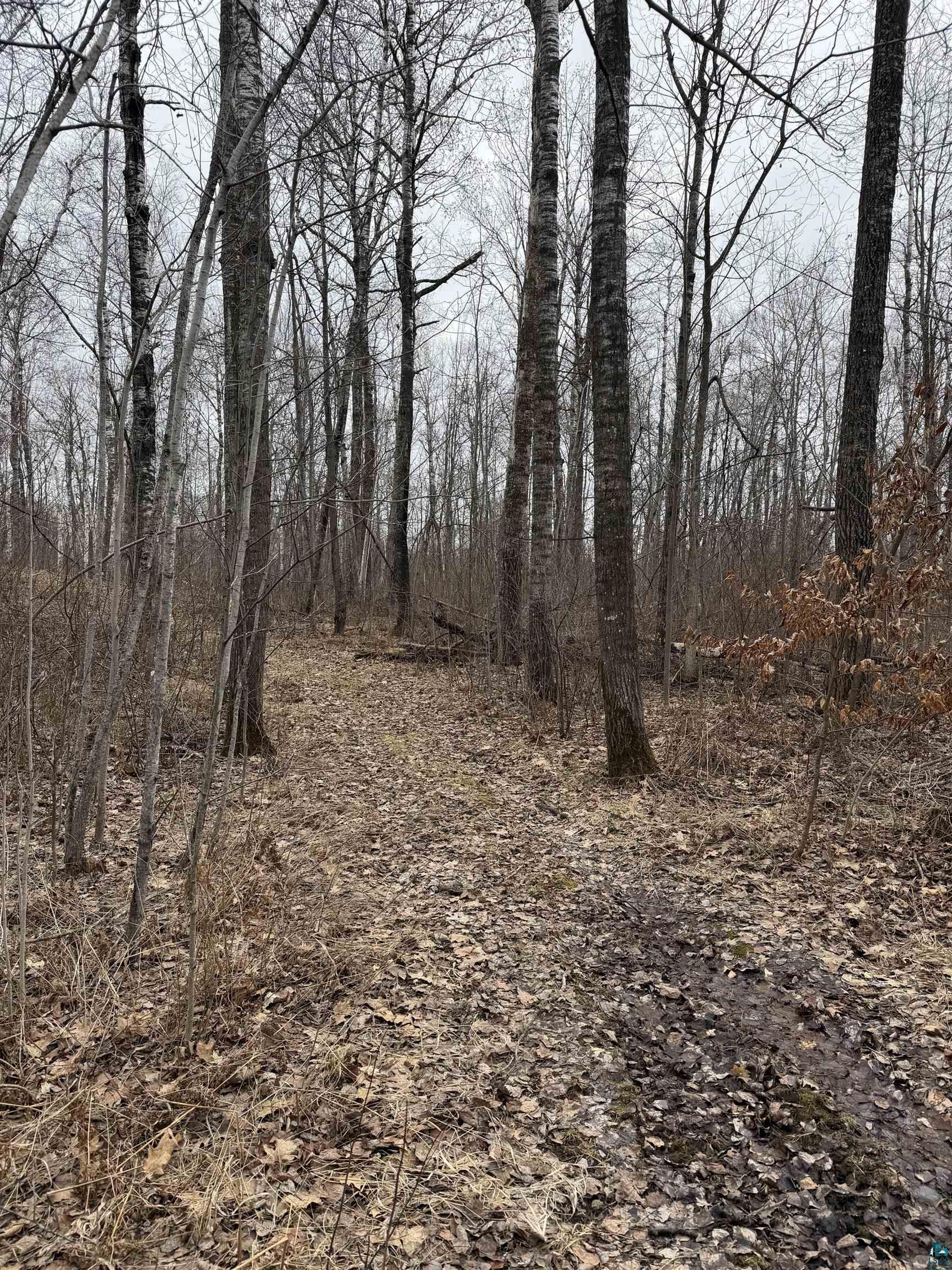 86288 Oak Lake Road South Kerrick, MN 55756 - Photo 17 of 26