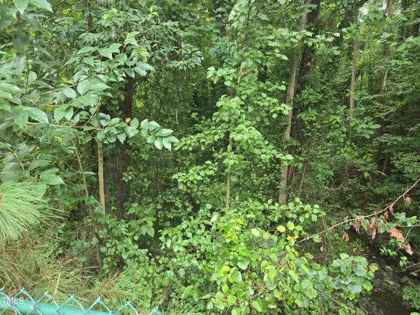 a plant view
