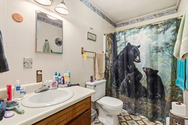 a bathroom with a sink toilet and shower