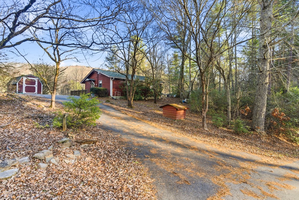 240 Mountain Top Road Marble, NC 28905 - Photo 5 of 30 Gallery Image 5