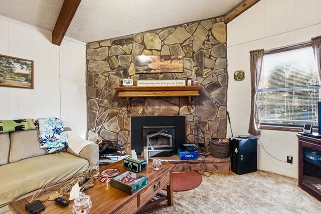 a living room with furniture windows and a fireplace