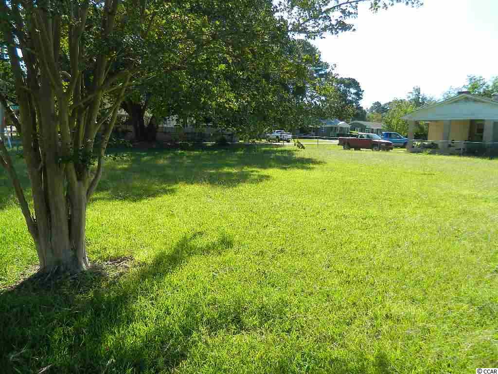 Tbd Middleton Street Georgetown, SC 29440 - Photo 3 of 3 Gallery Image 3