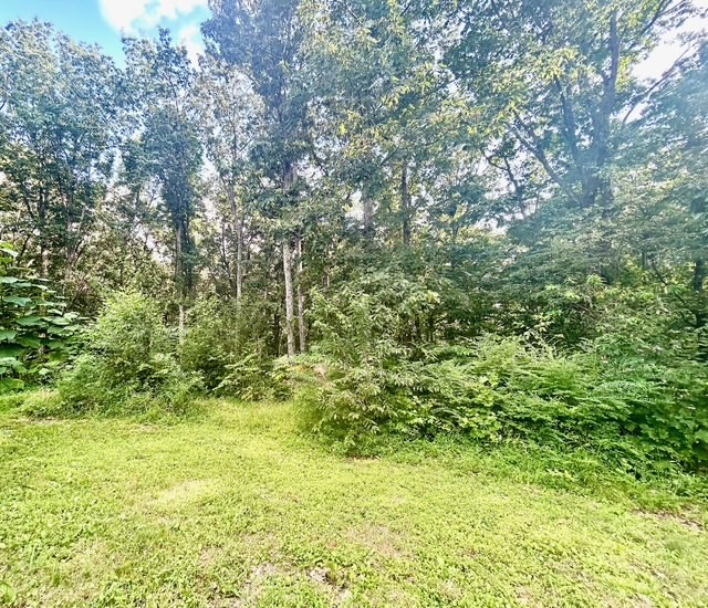 1616 Highway 49 Erin, TN 37061 - Photo 40 of 42
