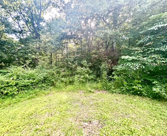 1616 Highway 49 Erin, TN 37061 - Photo 42 of 42