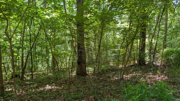 $50,000 | Lot 16 Bell Hollow, Cannelton, IN 47520