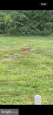 $699,900 | 608 Main Street, Mantua, NJ 08051