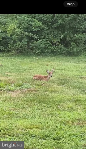 $699,900 | 608 Main Street, Mantua, NJ 08051