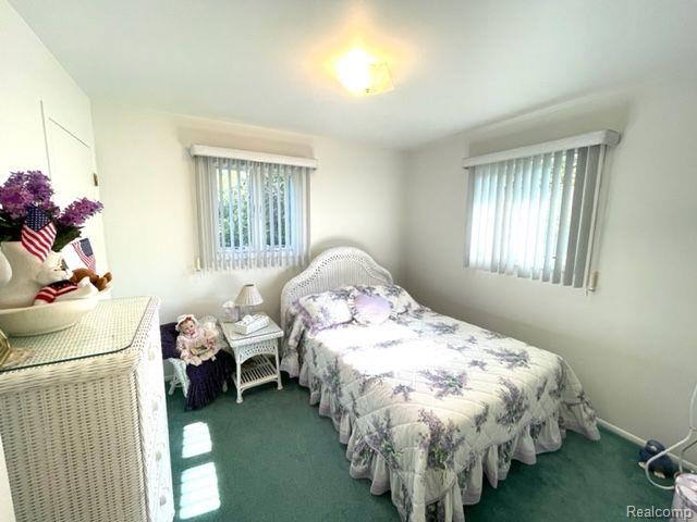2857 Flint River Road Lapeer, MI 48446 - Photo 26 of 65