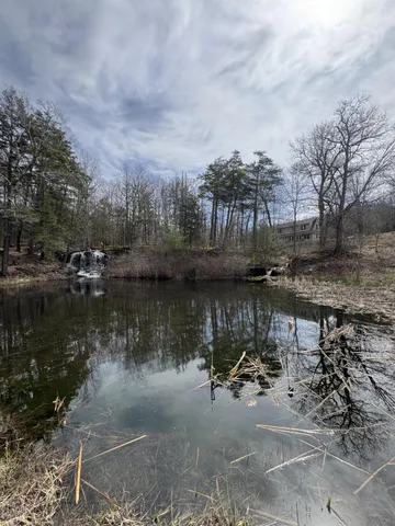 a bathroom with a tub and a shower