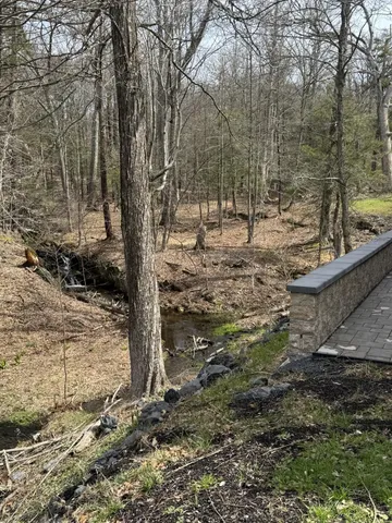 a view of a forest filled with trees