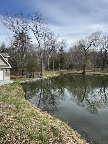 a view of a lake view with a large trees