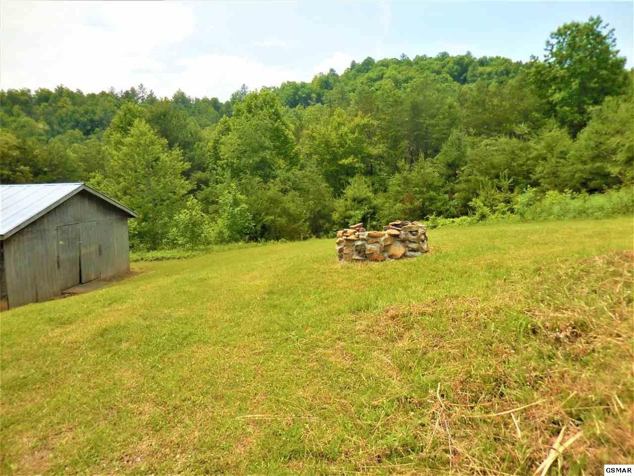 1380 Cabin Way Del Rio, TN 37727 - Photo 6 of 26 Gallery Image 6