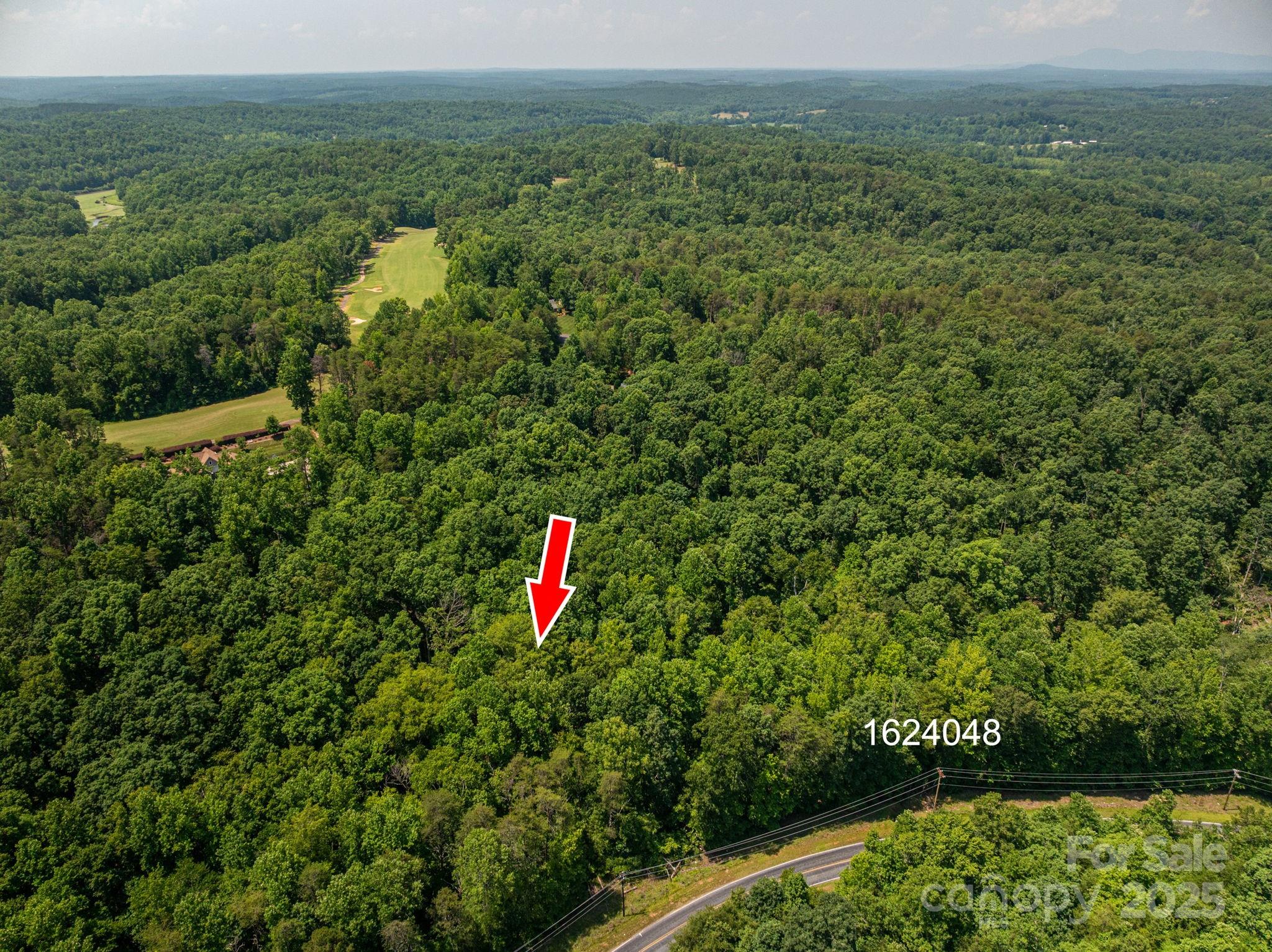 Lot Washburn Washburn Lane Rutherfordton, NC 28139 - Photo 11 of 27