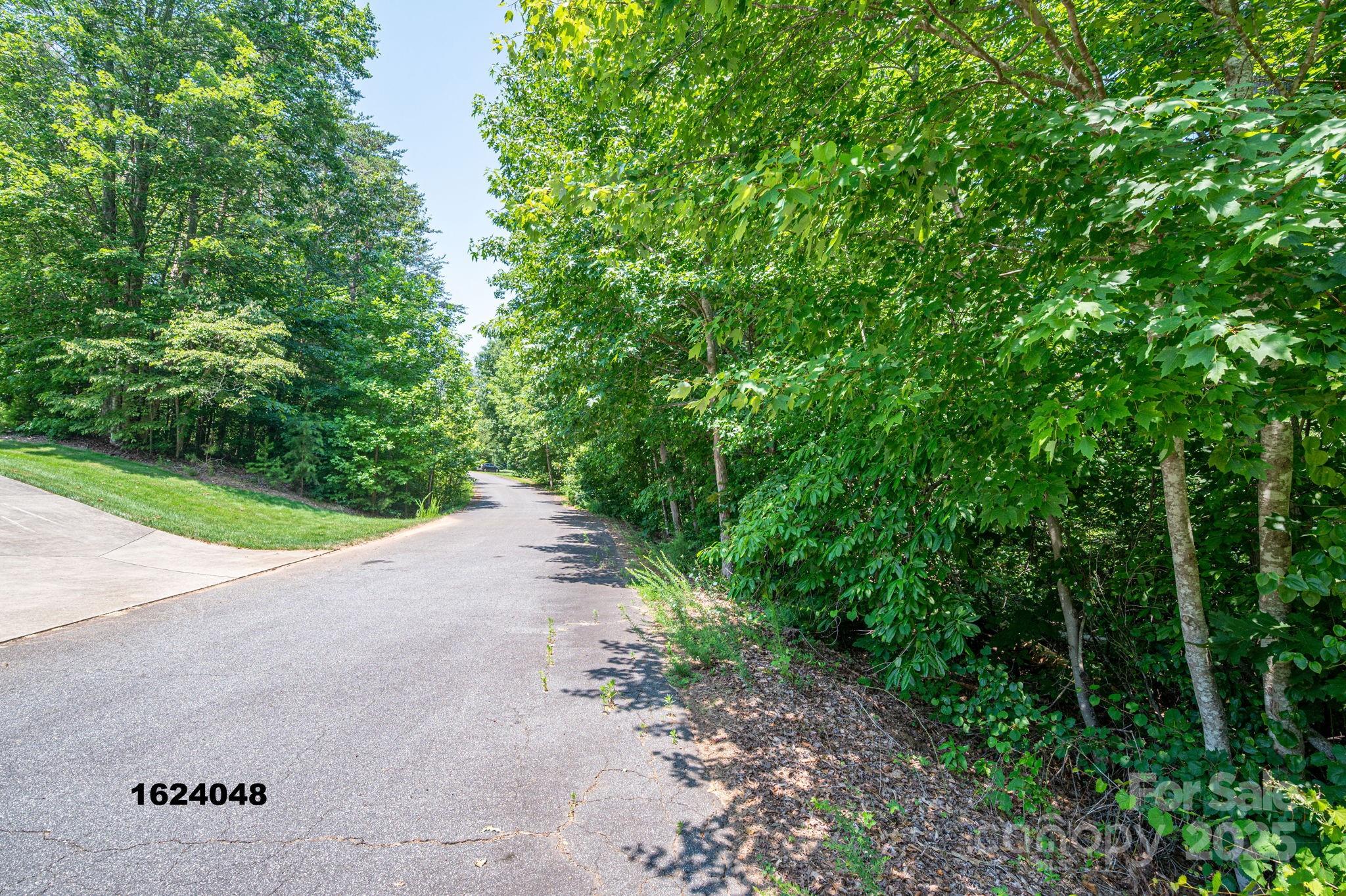 Lot Washburn Washburn Lane Rutherfordton, NC 28139 - Photo 13 of 27
