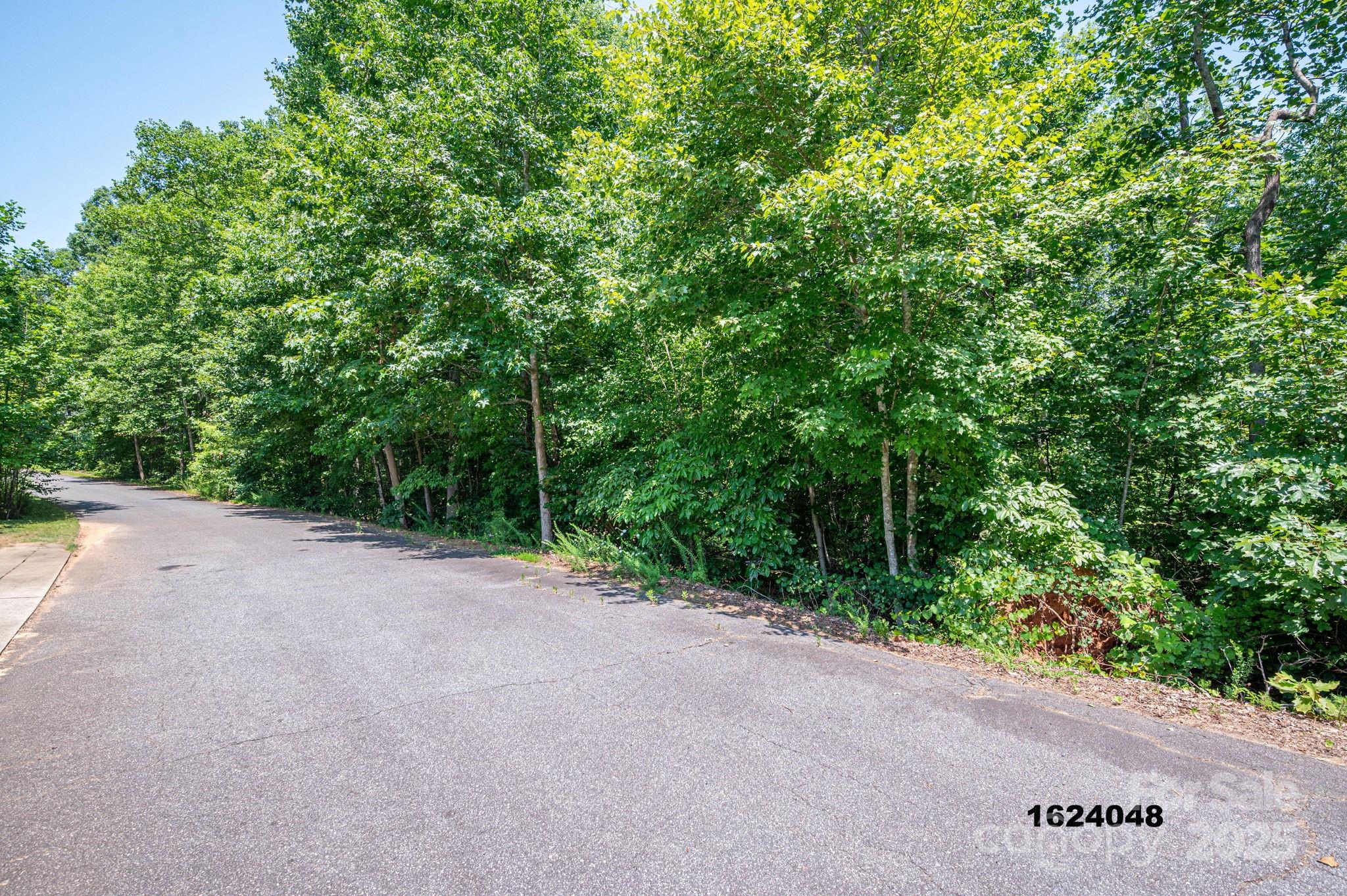 Lot Washburn Washburn Lane Rutherfordton, NC 28139 - Photo 14 of 27