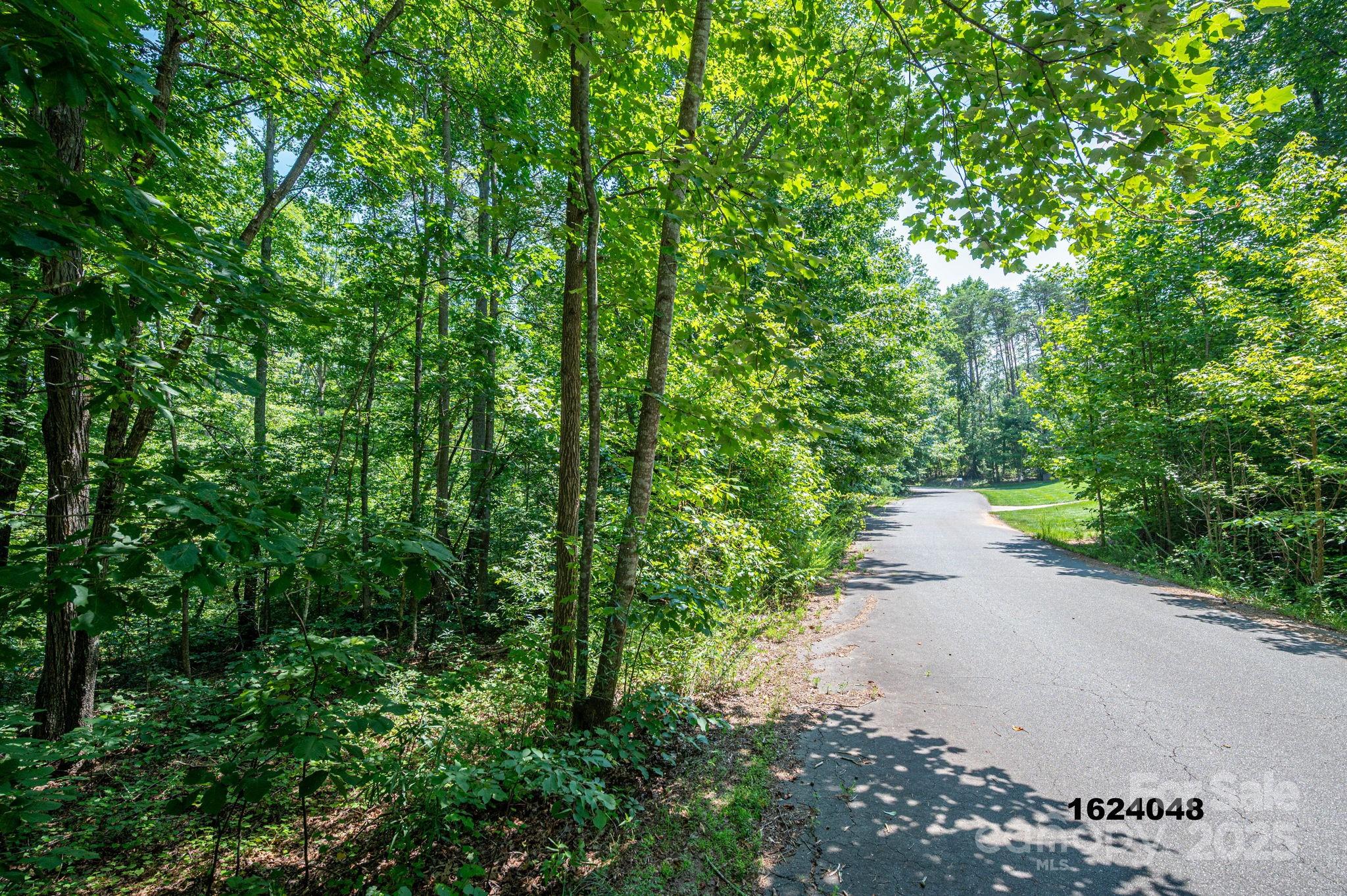 Lot Washburn Washburn Lane Rutherfordton, NC 28139 - Photo 15 of 27