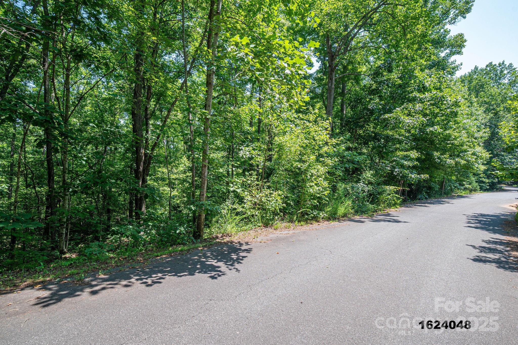 Lot Washburn Washburn Lane Rutherfordton, NC 28139 - Photo 3 of 27