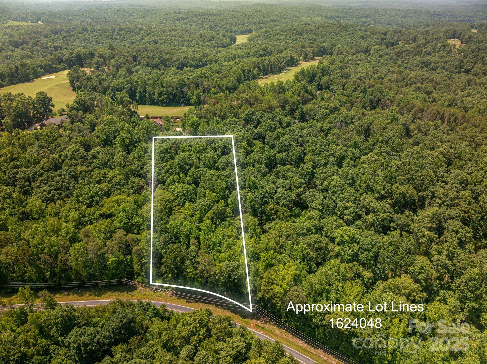 Lot Washburn Washburn Lane Rutherfordton, NC 28139 - Photo 6 of 27
