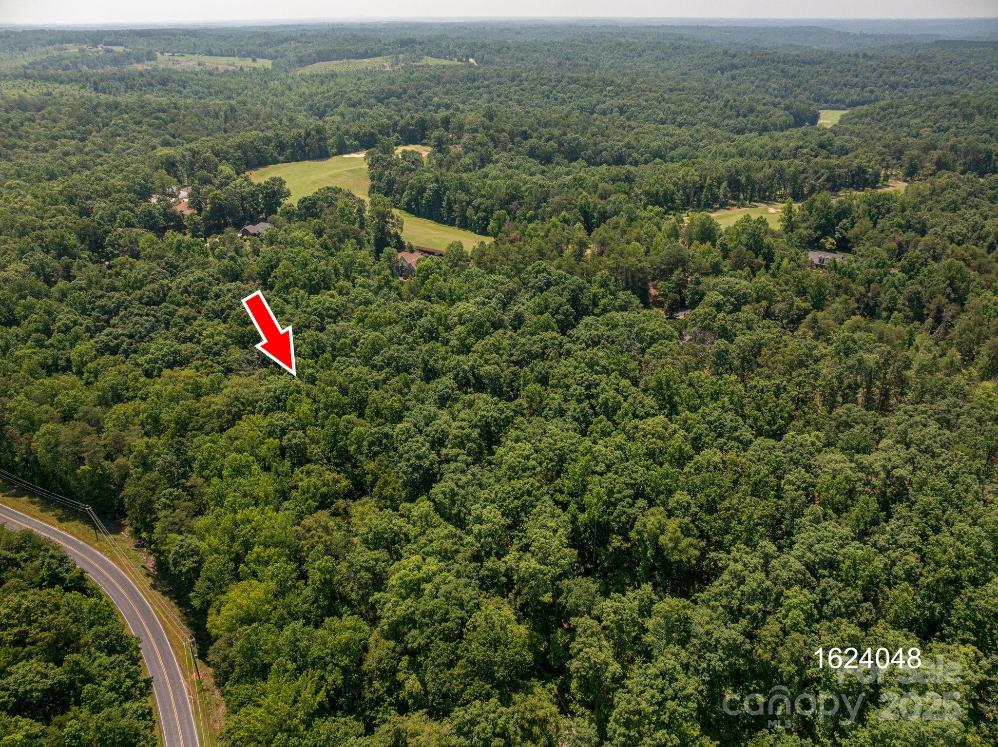 Lot Washburn Washburn Lane Rutherfordton, NC 28139 - Photo 9 of 27