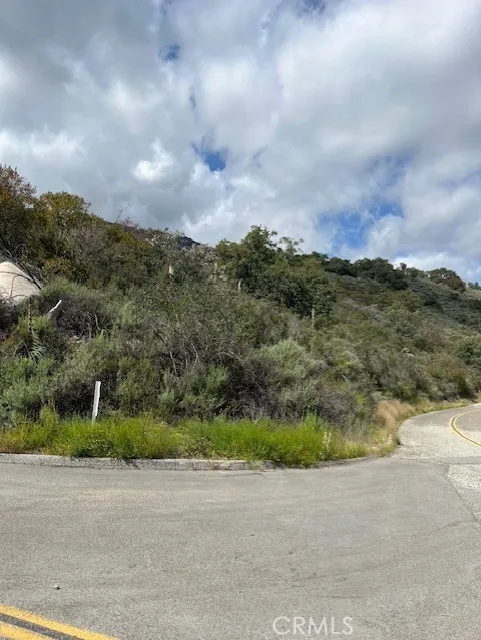 a view of a pathway both side of grassy field
