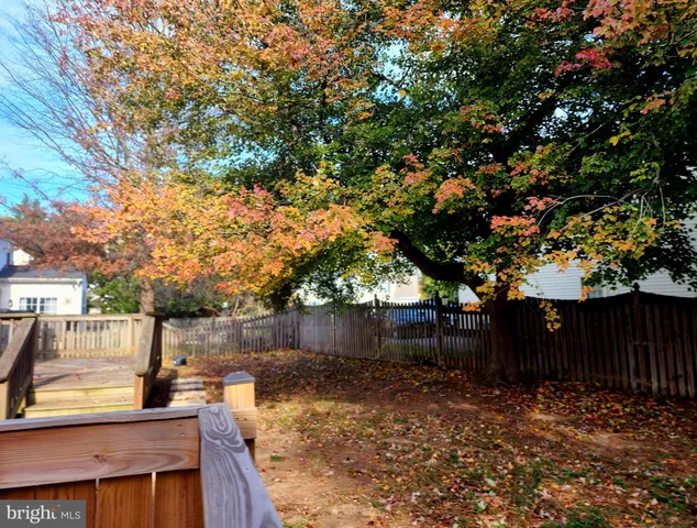 a view of a backyard with large trees and wooden fence