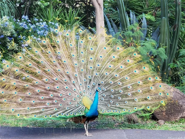 $240,000 | 84-754 Ala Mahiku Street, Unit 45C, Waianae, HI 96792