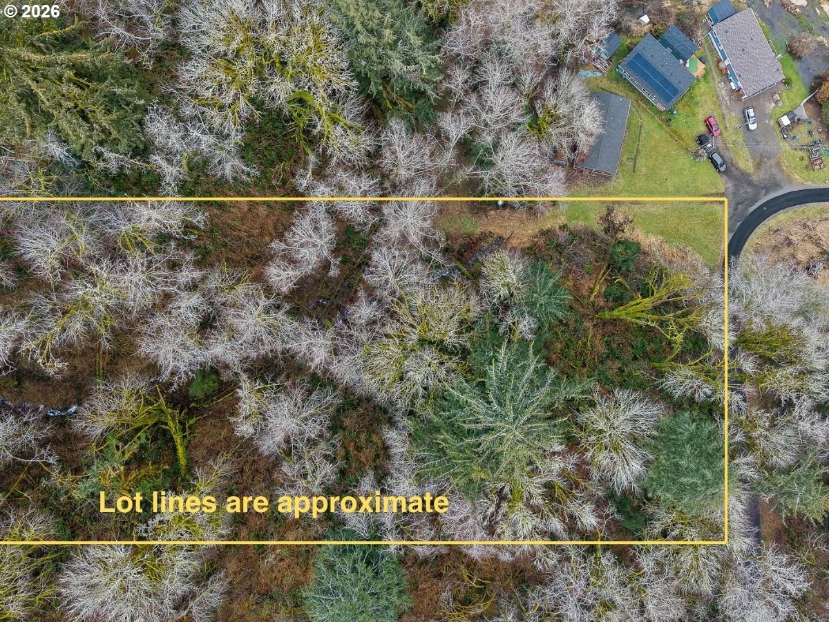 35495 Big Trout Road Hebo, OR 97122 - Photo 3 of 12