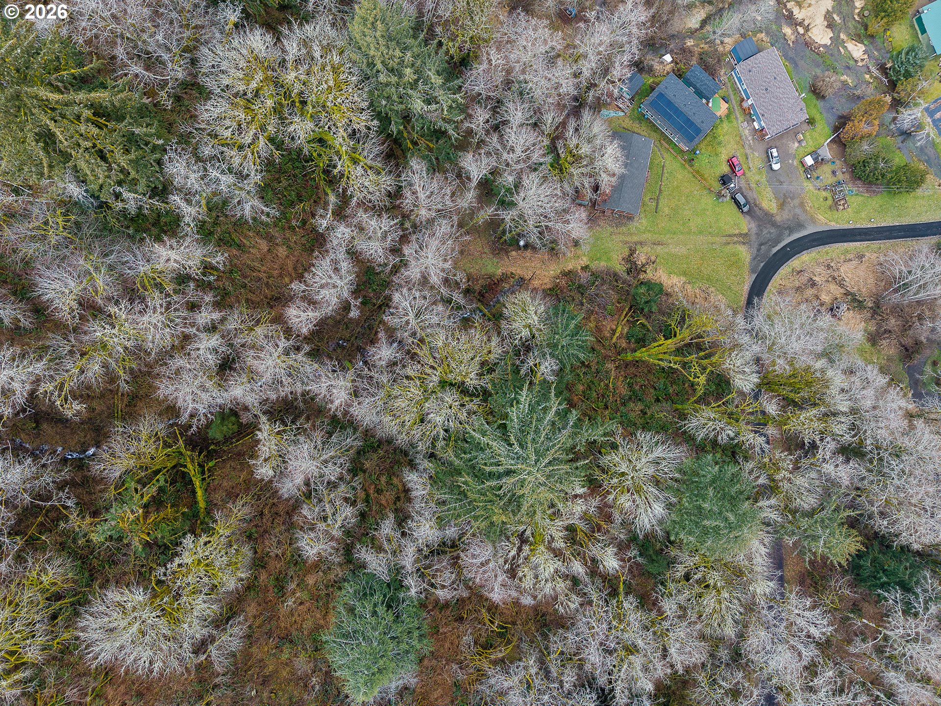 35495 Big Trout Road Hebo, OR 97122 - Photo 4 of 12