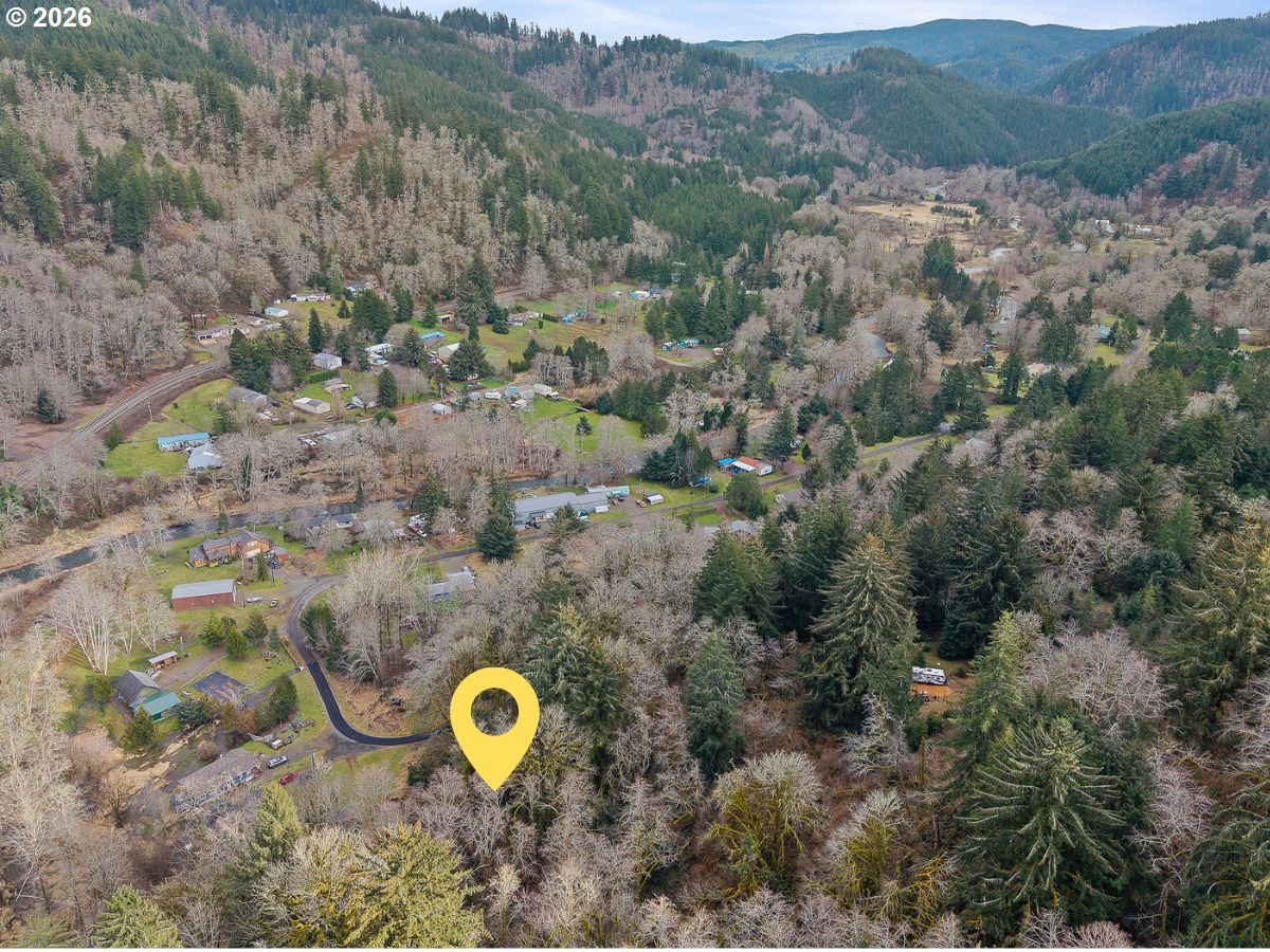 35495 Big Trout Road Hebo, OR 97122 - Photo 7 of 12