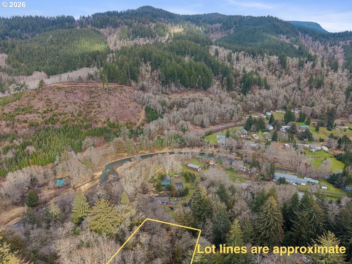 35495 Big Trout Road Hebo, OR 97122 - Photo 9 of 12