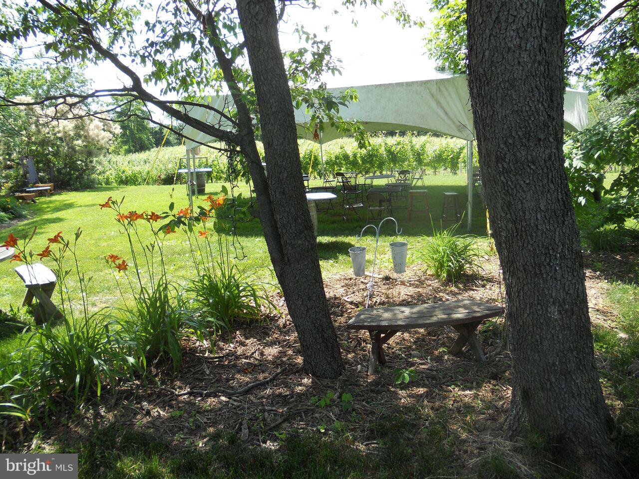 15137 Liberty Road Mount Airy, MD 21771 - Photo 10 of 18 a backyard of a house with lots of green space