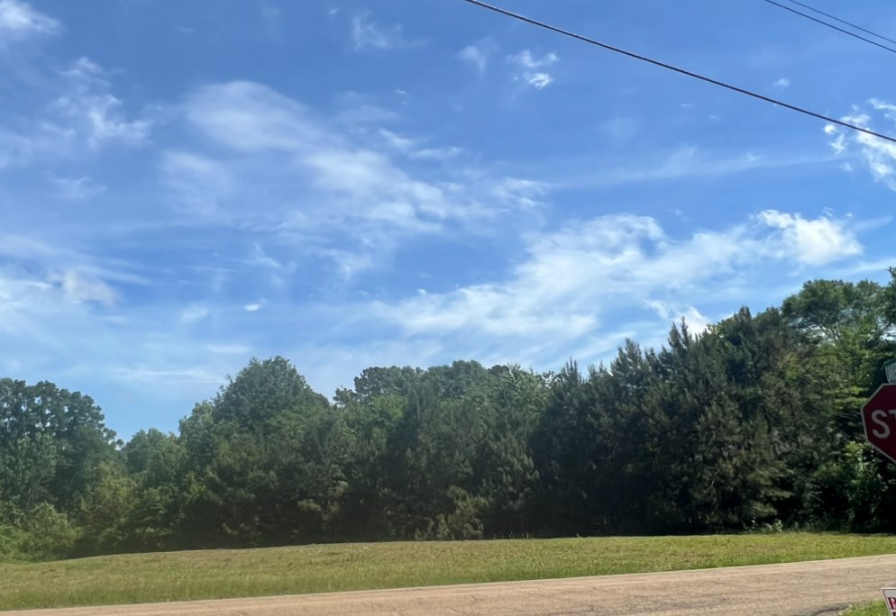 Na Na Hart Rd Virginia Avenue Oxford, NC 27565 - Photo 5 of 5 Photo 5