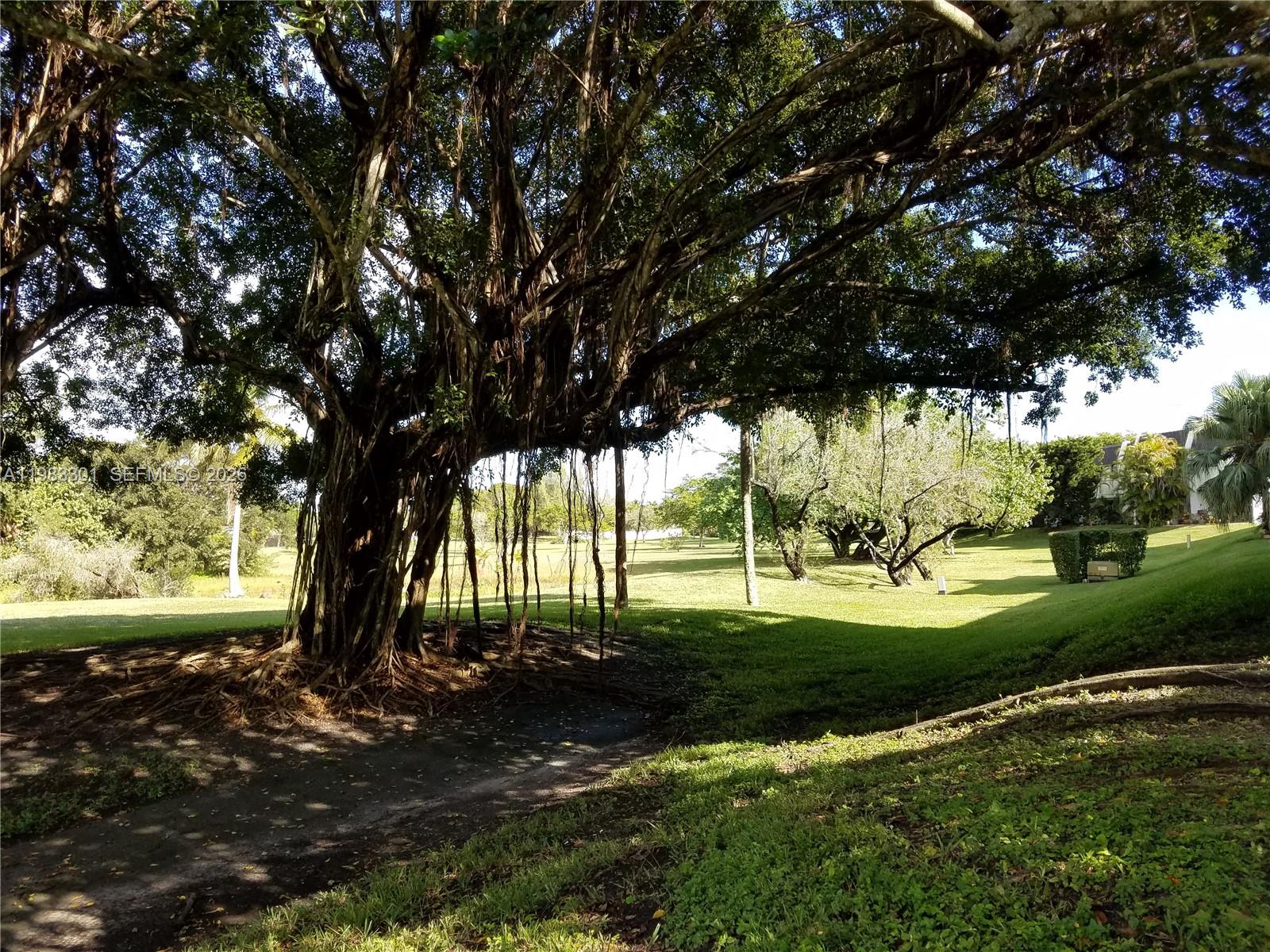 6190 Southwest 90th Court, Unit 1K Miami, FL 33173 - Photo 47 of 49 a view of a backyard with large trees