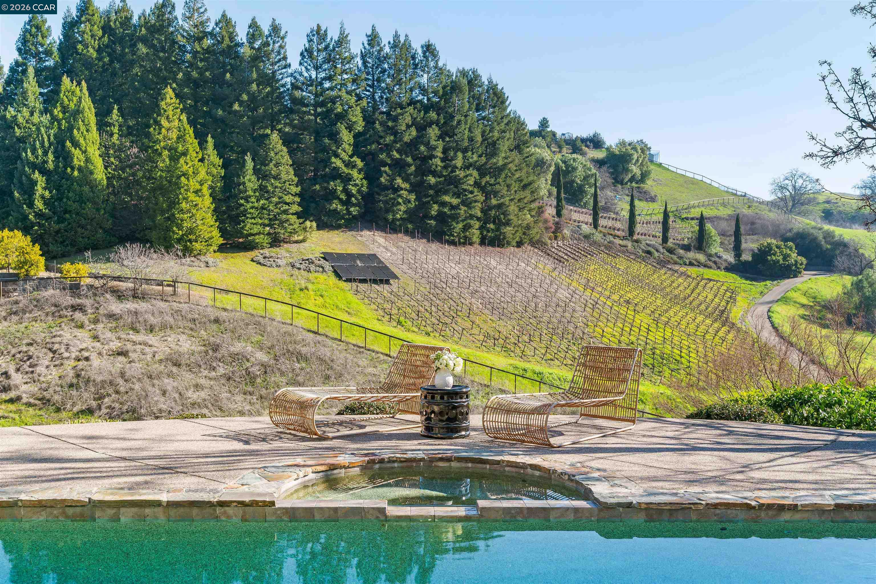 138 Sunhaven Road Danville, CA 94506 - Photo 43 of 60 a view of a swimming pool with a yard