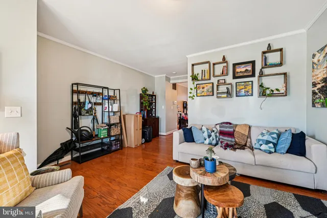 a living room with furniture and a couch