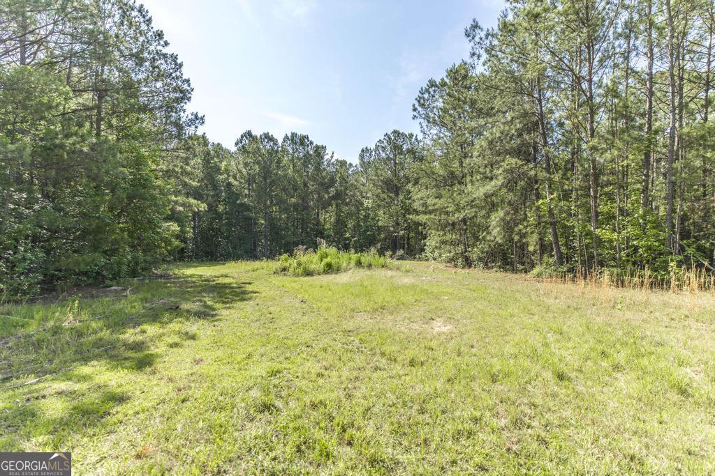 3270 Hamlin Road Lizella, GA 31052 - Photo 46 of 59