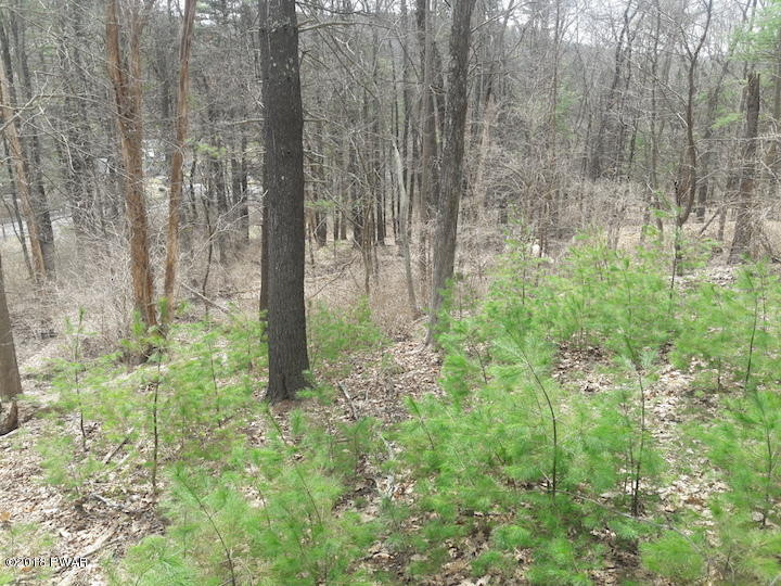 Christian Hill Road Milford, PA 18337 - Photo 11 of 22