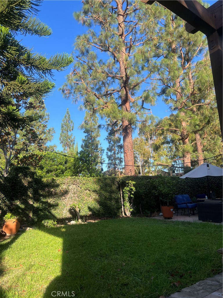 11105 Means Tustin, CA 92782 - Photo 13 of 23 a view of a garden with a building in the background