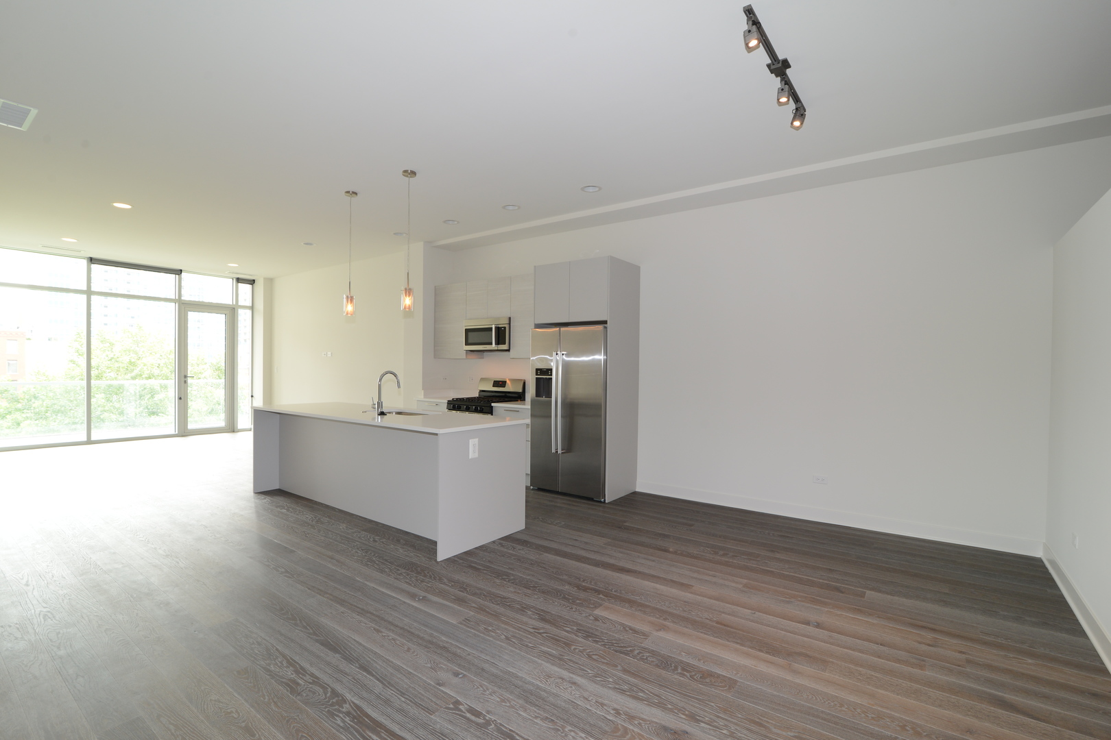 858 North Franklin Street, Unit 503 Chicago, IL 60610 - Photo 3 of 9 a view of a kitchen with wooden floor
