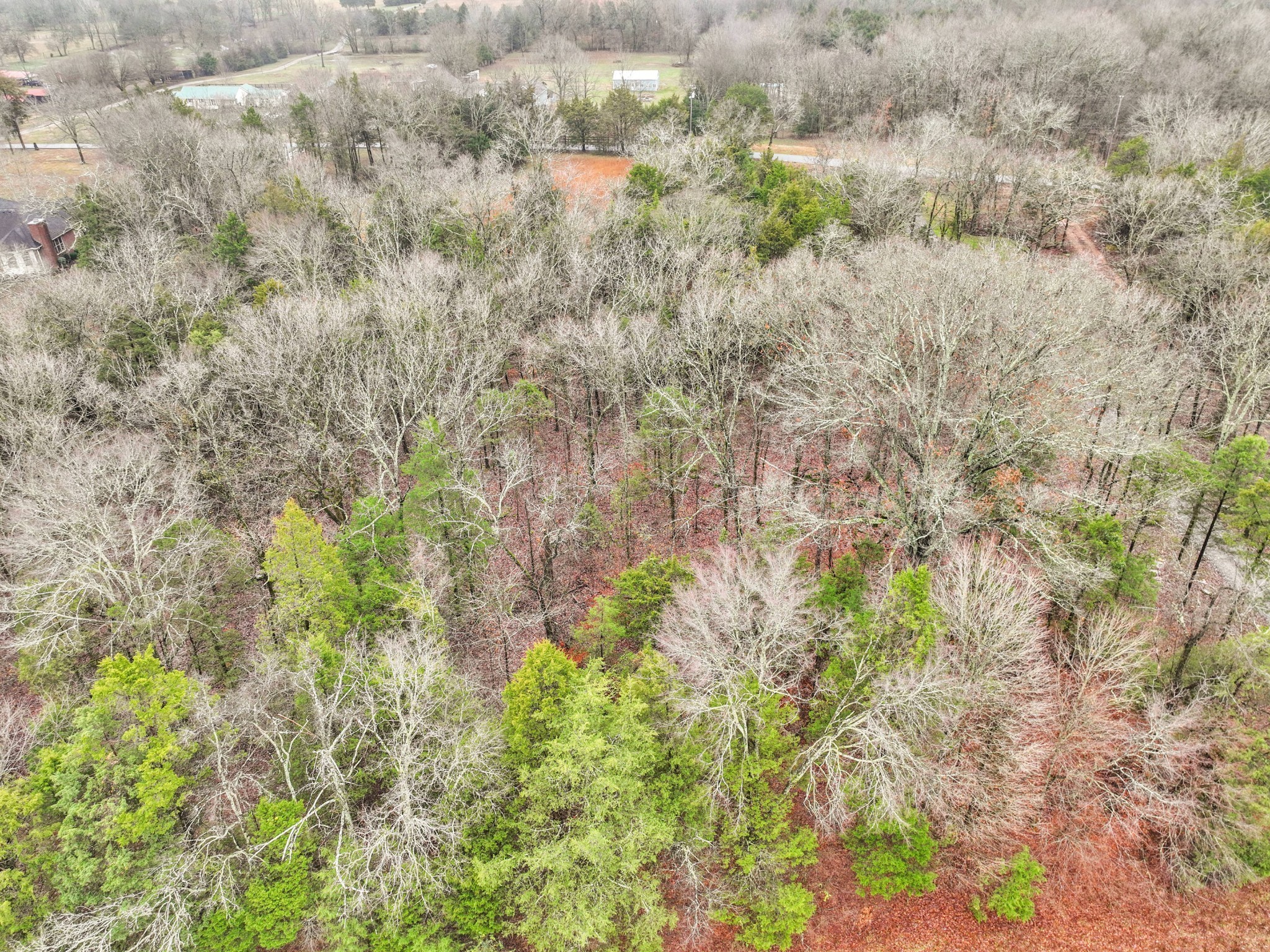 0 Phillips Road Lebanon, TN 37087 - Photo 11 of 13 a view of a yard