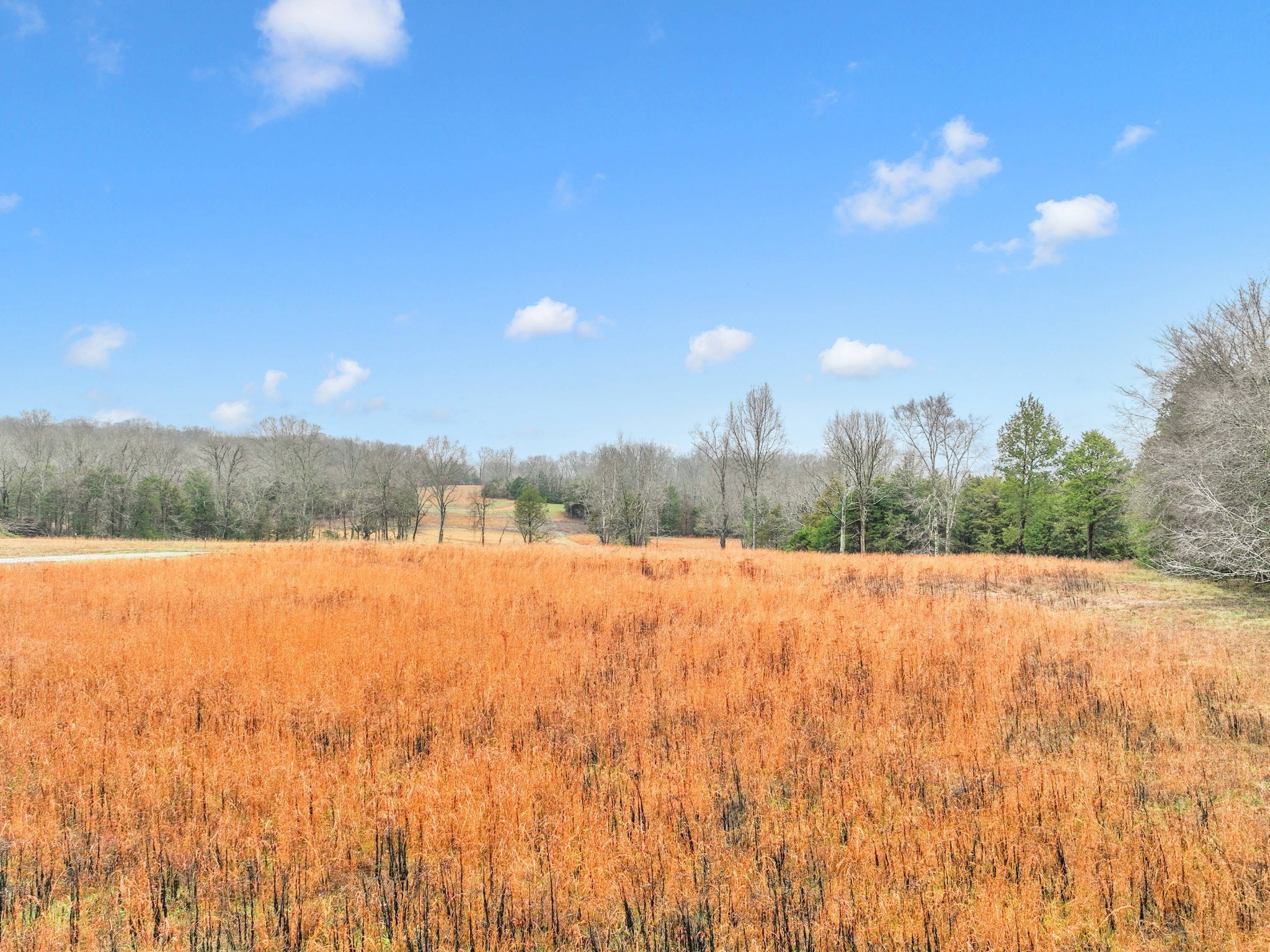 0 Phillips Road Lebanon, TN 37087 - Photo 12 of 13 a view of an outdoor space and a lake view