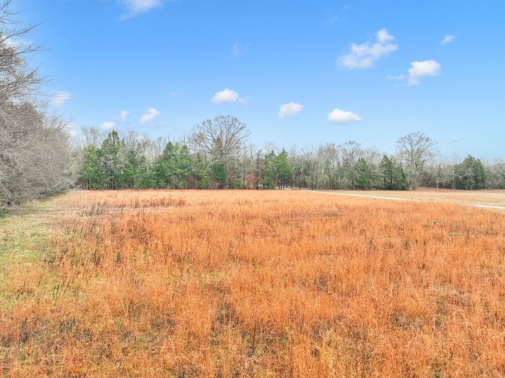 0 Phillips Road Lebanon, TN 37087 - Photo 13 of 13 a view of patio with green space