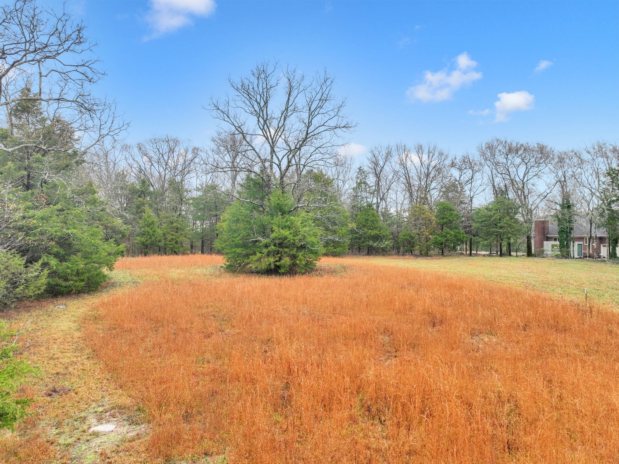 0 Phillips Road Lebanon, TN 37087 - Photo 3 of 13 a view of a backyard of a house
