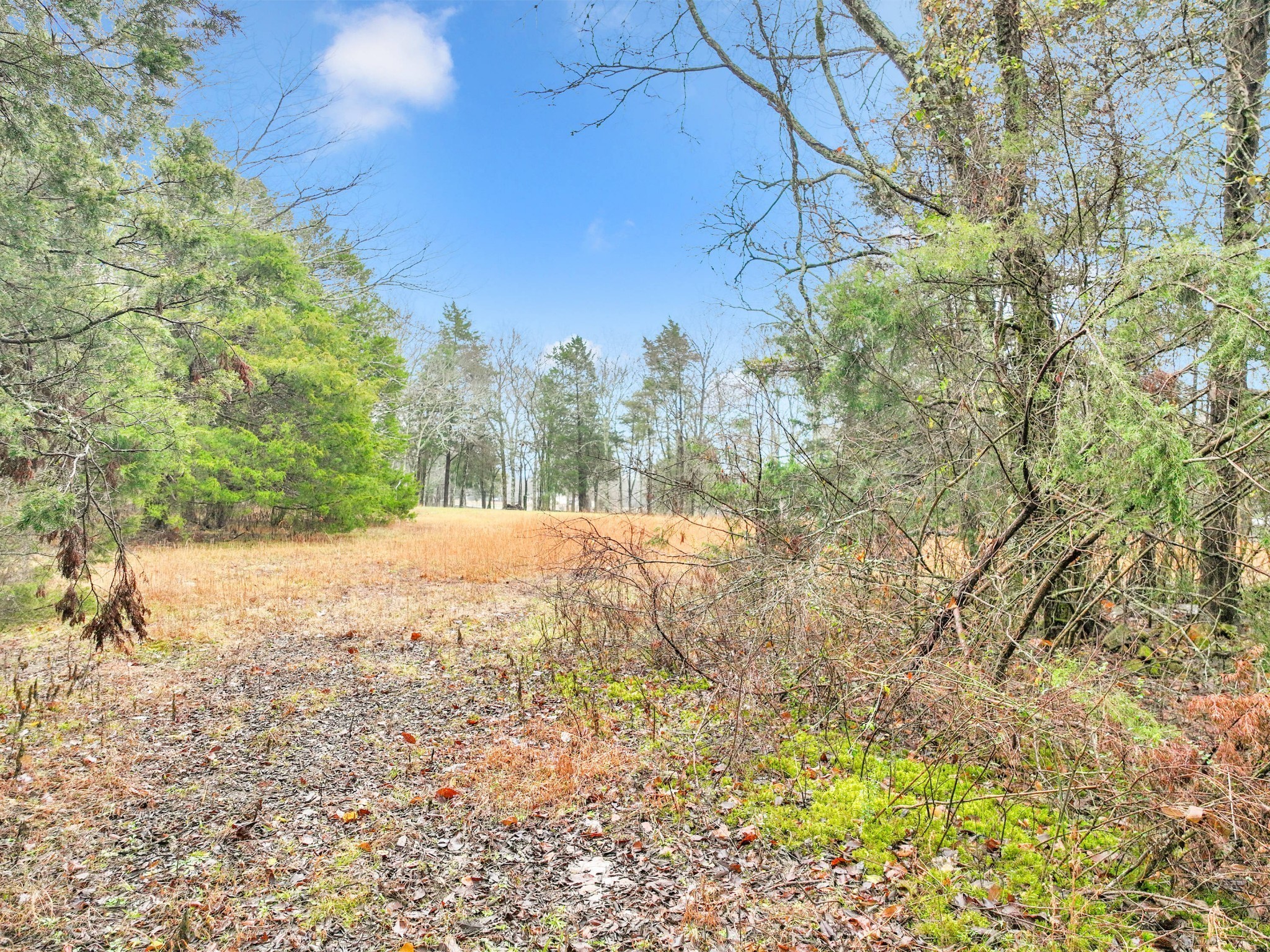 0 Phillips Road Lebanon, TN 37087 - Photo 4 of 13